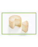 Queso de oveja curado