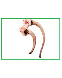 Rabos de cerdo ibérico