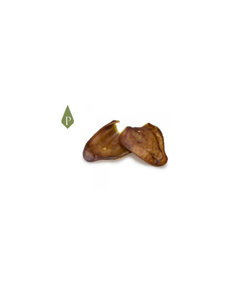 Oreja cocida de cerdo ibérico