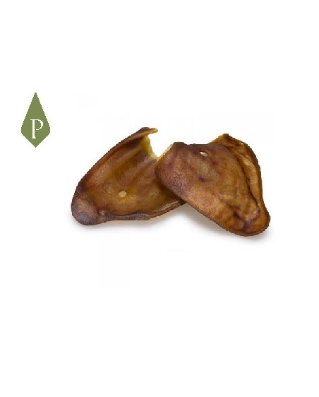 Oreja cocida de cerdo ibérico