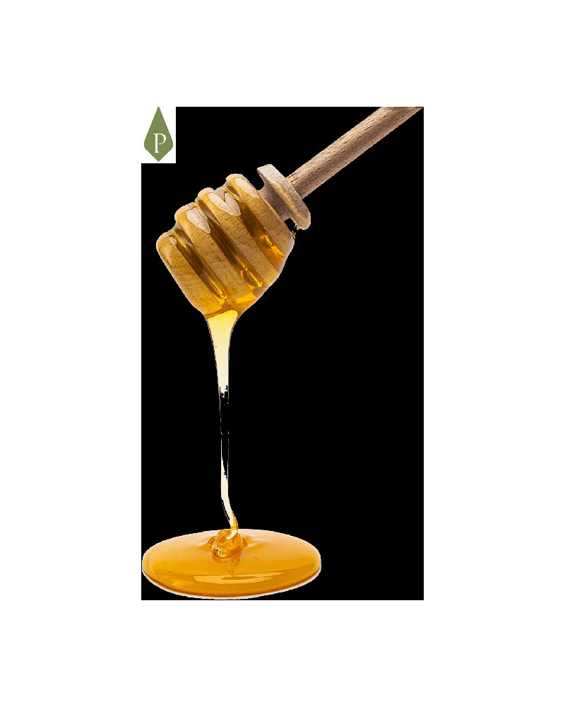 Palito mielero