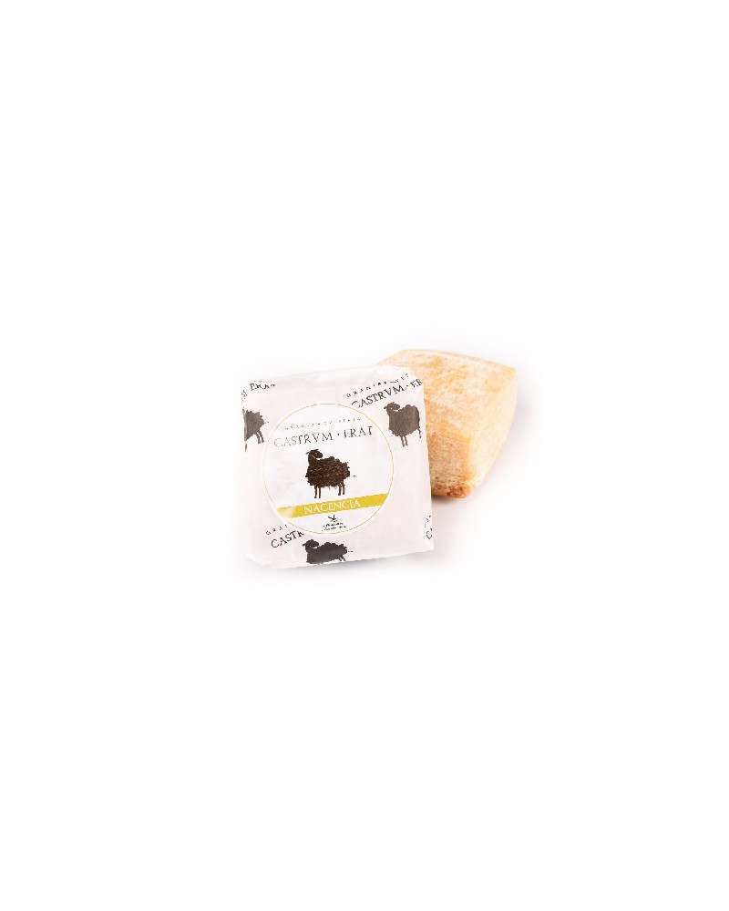 queso oveja mini
