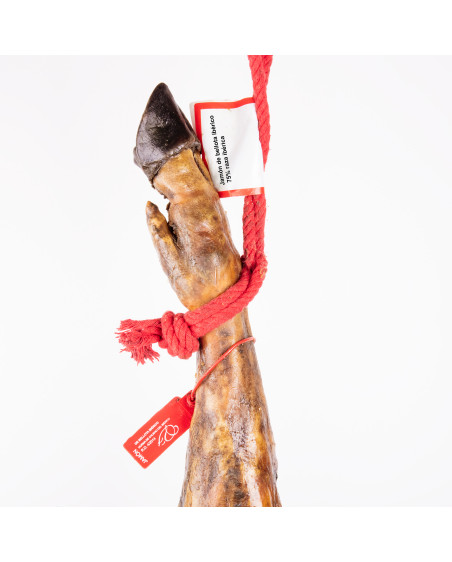 Jamón de bellota ibérico 75% Raza Ibérica