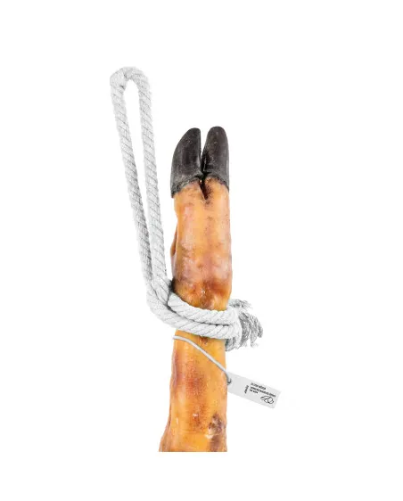 Jamón de cebo ibérico 50% Raza Ibérica