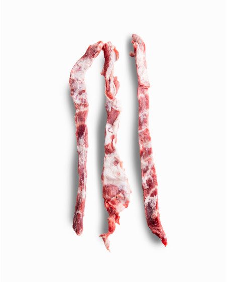 Lagartito Ibérico