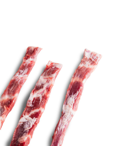 Lagartito Ibérico
