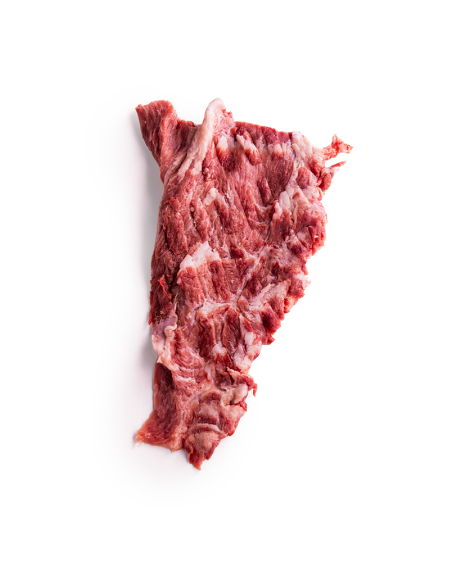 Pluma Ibérica Extra