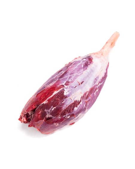 Babilla falsa
