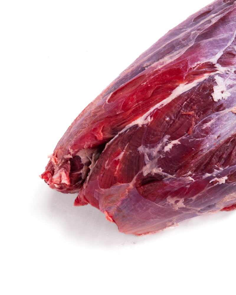 Babilla falsa