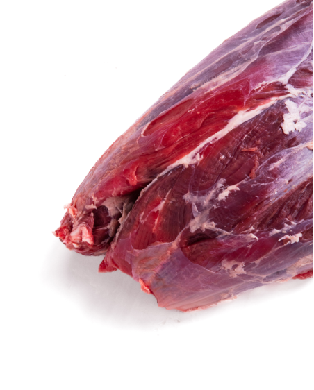Babilla falsa