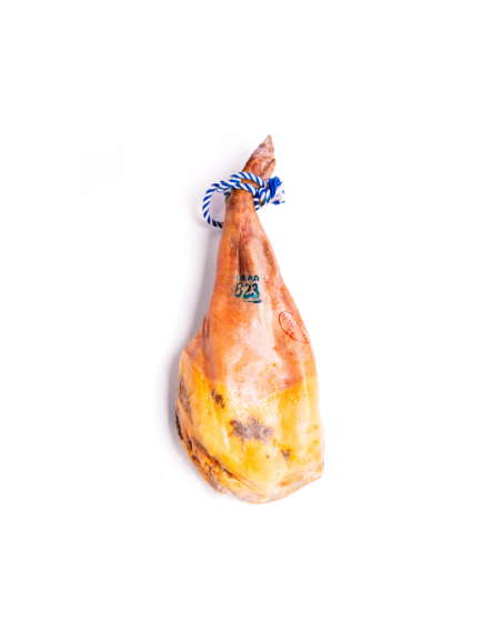 Paleta Curada Bodega