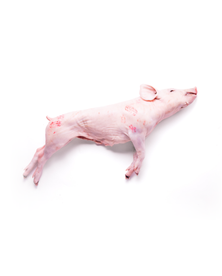 Cochinillo Ibérico de 3 a 4Kg