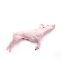 Cochinillo Ibérico Gran Selección (4 a 5kg) - Cárnicas Pozas (Elegir Tipo de Corte)