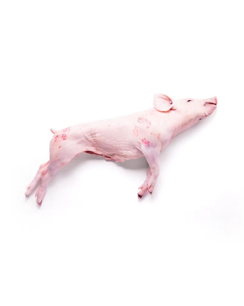 Cochinillo Ibérico Selección Especial (5 a 6kg) - Cárnicas Pozas (Elegir Tipo de Corte)