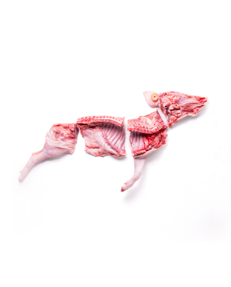 Cochinillo Ibérico de 7 a 8Kg