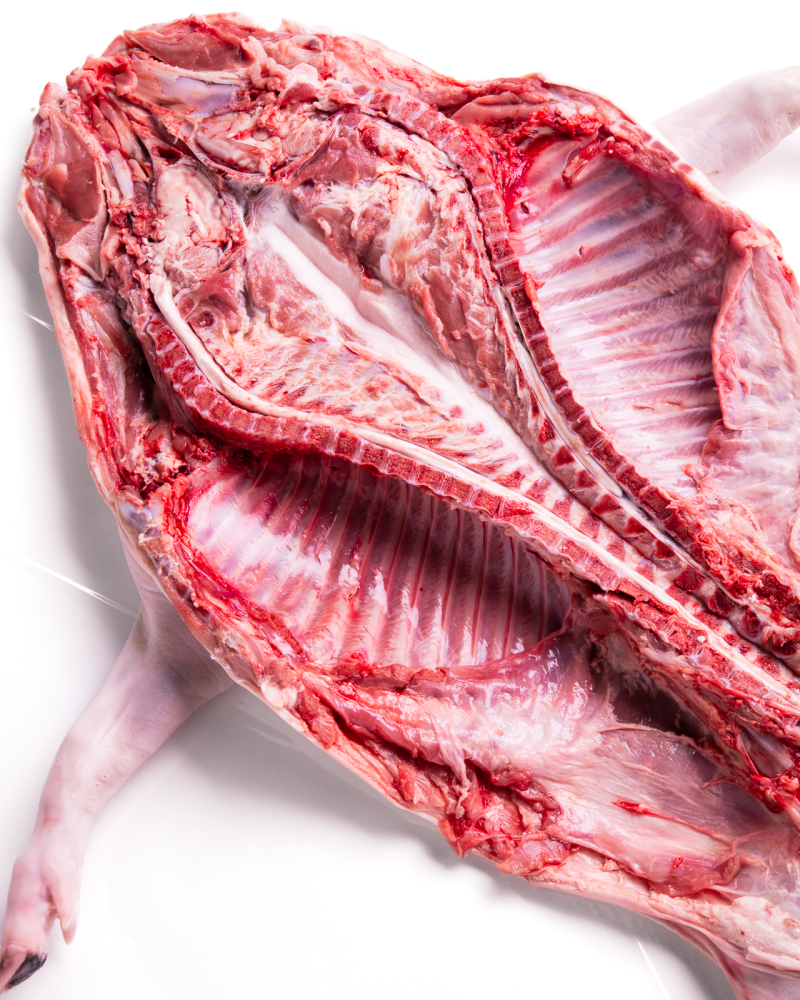 Cochinillo Ibérico de mas de 8Kg