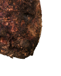 Guanciale Ibérico de Bellota