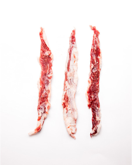 Lagarto Ibérico