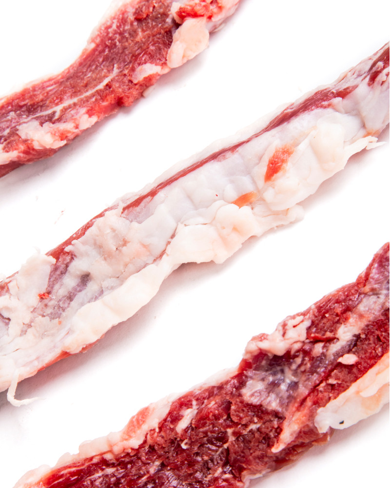 Lagarto Ibérico