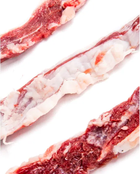 Lagarto Ibérico
