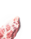 Pluma Ibérica de Primera