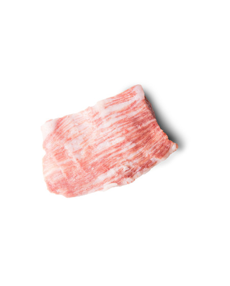 Secreto de Papada Ibérica
