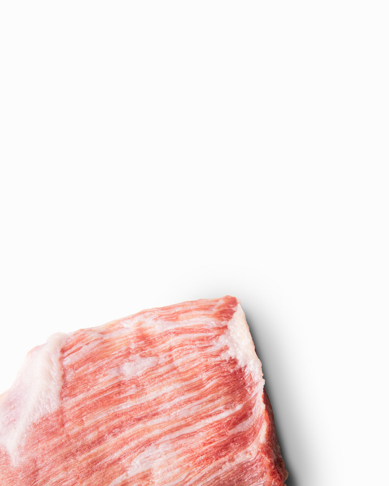 Secreto de Papada Ibérica