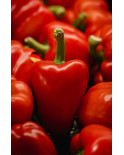 Pimentón el Angel Picante B.250gr.