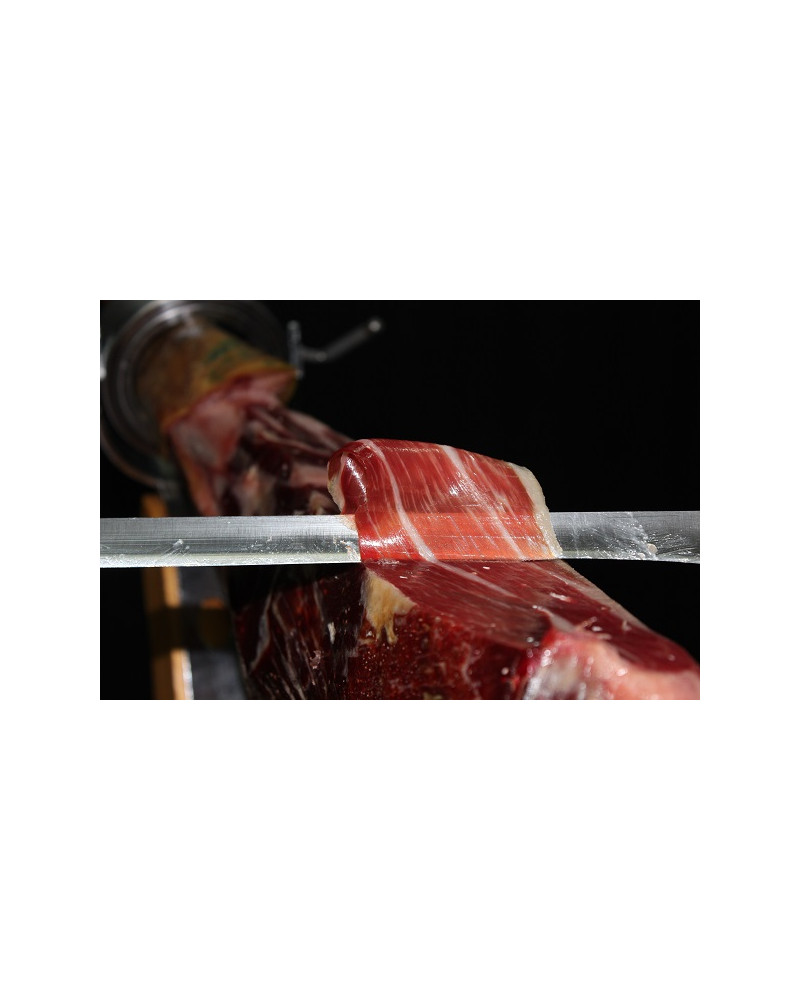 Jamón de bellota ibérico 75% Raza Ibérica