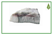 Tocino salado Ibérico de Bellota