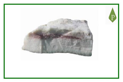 Tocino salado Ibérico de Bellota