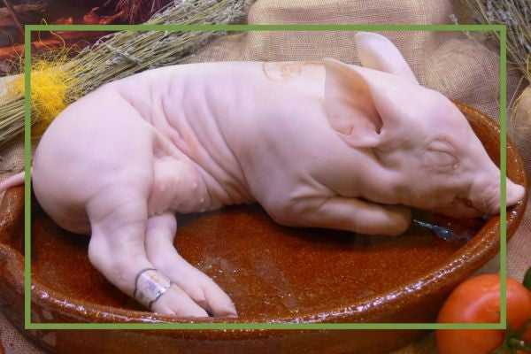 Cochinillo Blanco de 3 a 4Kg