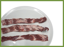 Lagartito Ibérico