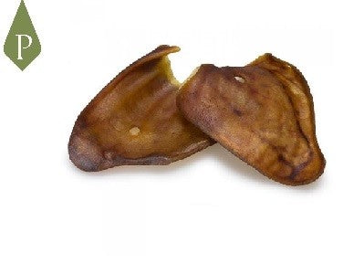 Orejas Cocida de cerdo Ibérico
