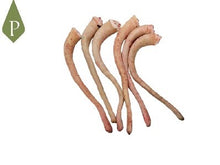 Rabos Cocidos de cerdo Ibérico