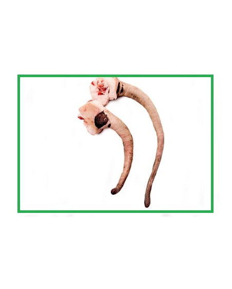 Rabos de cerdo ibérico